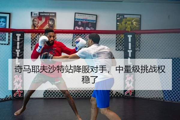 qi-ma-ye-fu-sha-te-zhan-xiang-fu-dui-shou-zhong-liang-ji-tiao-zhan-quan-wen-le-3-697.jpg