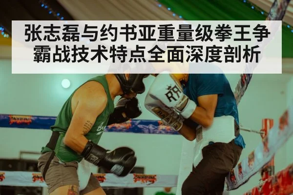 张志磊与约书亚重量级拳王争霸战技术特点全面深度剖析
