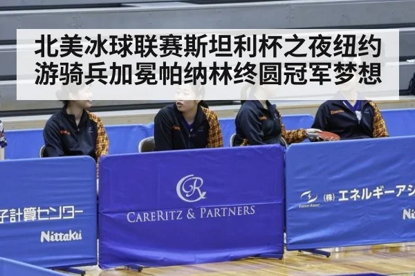 北美冰球联赛斯坦利杯之夜纽约游骑兵加冕帕纳林终圆冠军梦想